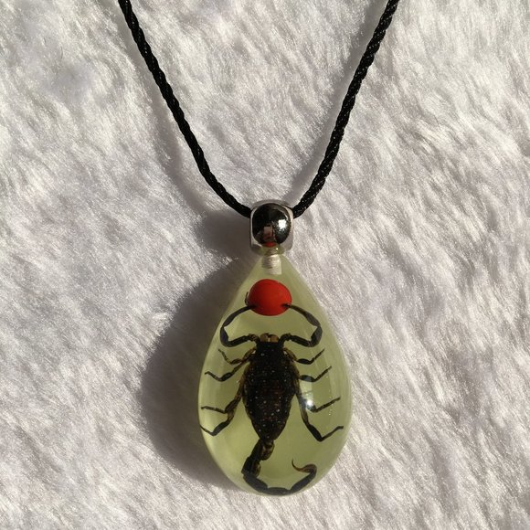 Acrylic block, necklace with a real Scorpion, Chinese golden  Necklace pendant, Scorpion King amber from nature
